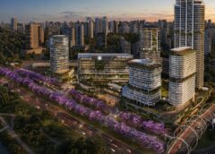 Parque Global inicia plantio de 414 ipês-roxos adultos e cria novo marco ambiental e turístico na Marginal Pinheiros